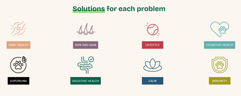 Why Kun Kay is the Best Choice for Pet Health